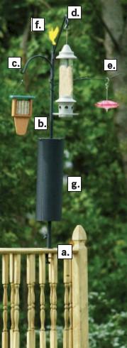 Advanced Pole System Bird Feeding Station on Deck